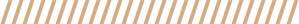 Divisor