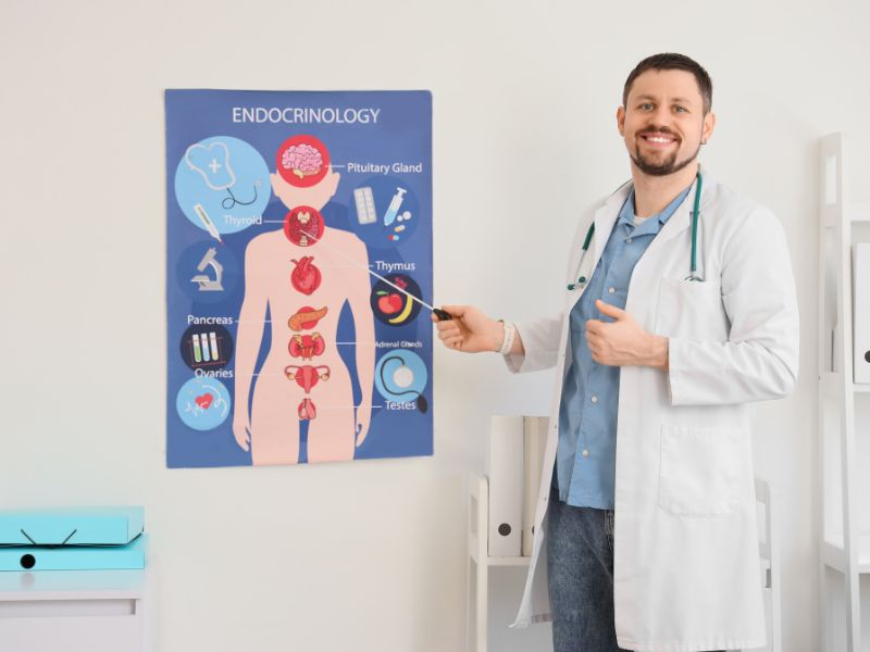 melhor pós-graduação endocrinologia investimento