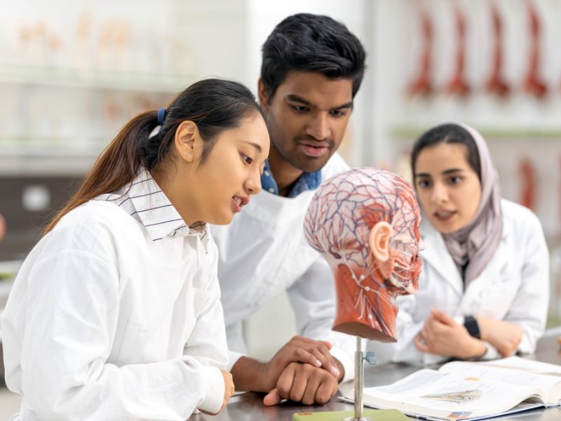 iniciação científica em medicina pensamento