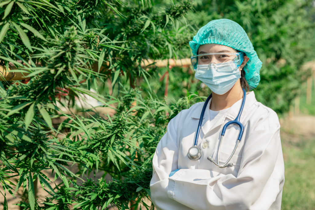cannabis-medicinal
