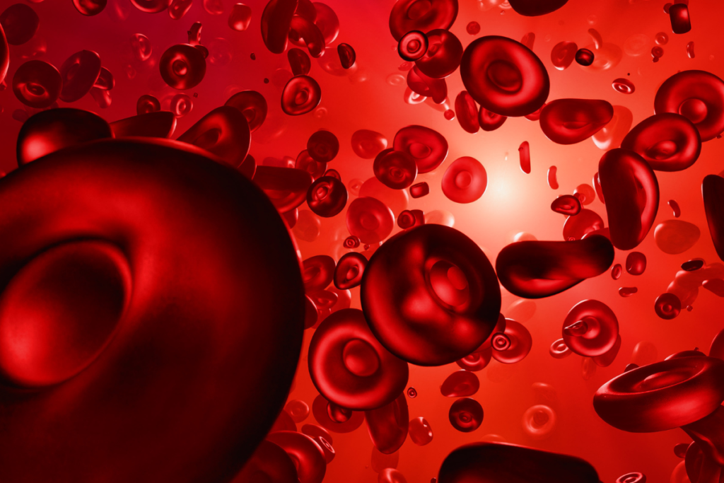 anemia ferropriva: investigação
