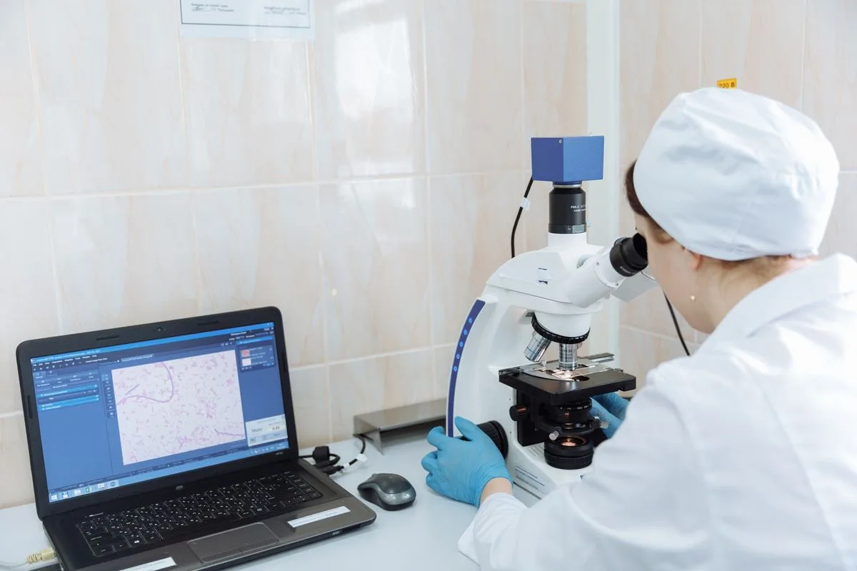 testosterona e fertilidade masculina